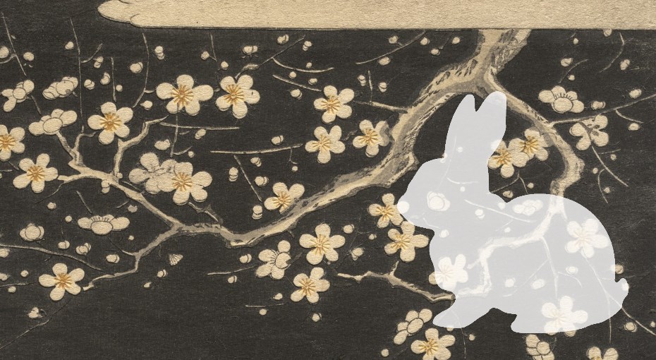 Nin Learns to&nbsp;Breathe