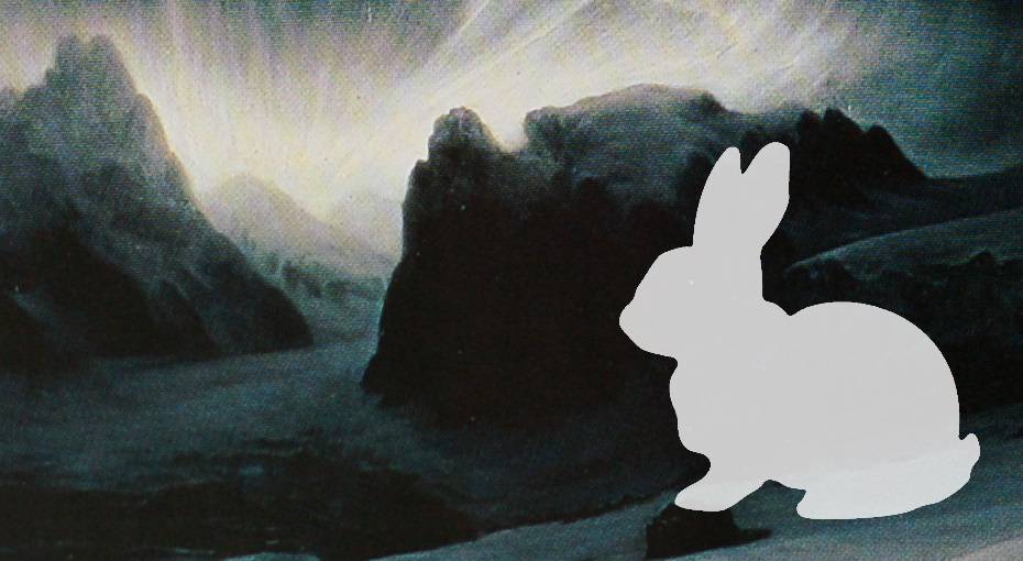 Arctic Hare (3)